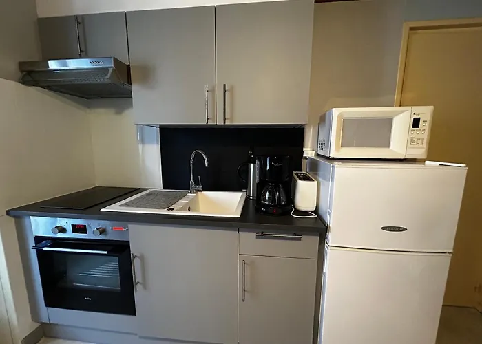 Centre La Roche-posay, Wifi, Parking Gratuit - Fr-1-541-161 Apartment La Roche-Posay