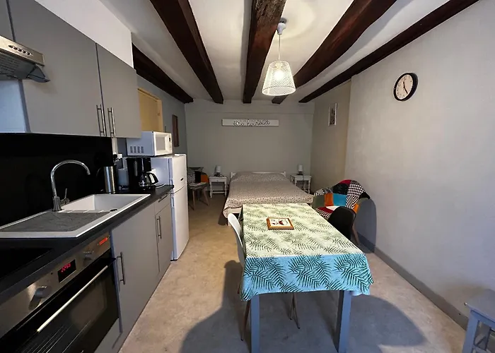 Centre La Roche-posay, Wifi, Parking Gratuit - Fr-1-541-161 Apartment *